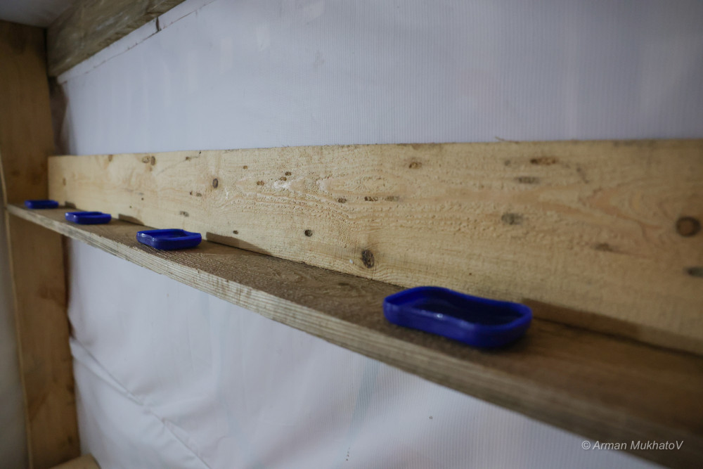 Монша, асхана және жаттығу: Шеруге келген әскерилерге қандай жағдай жасалған