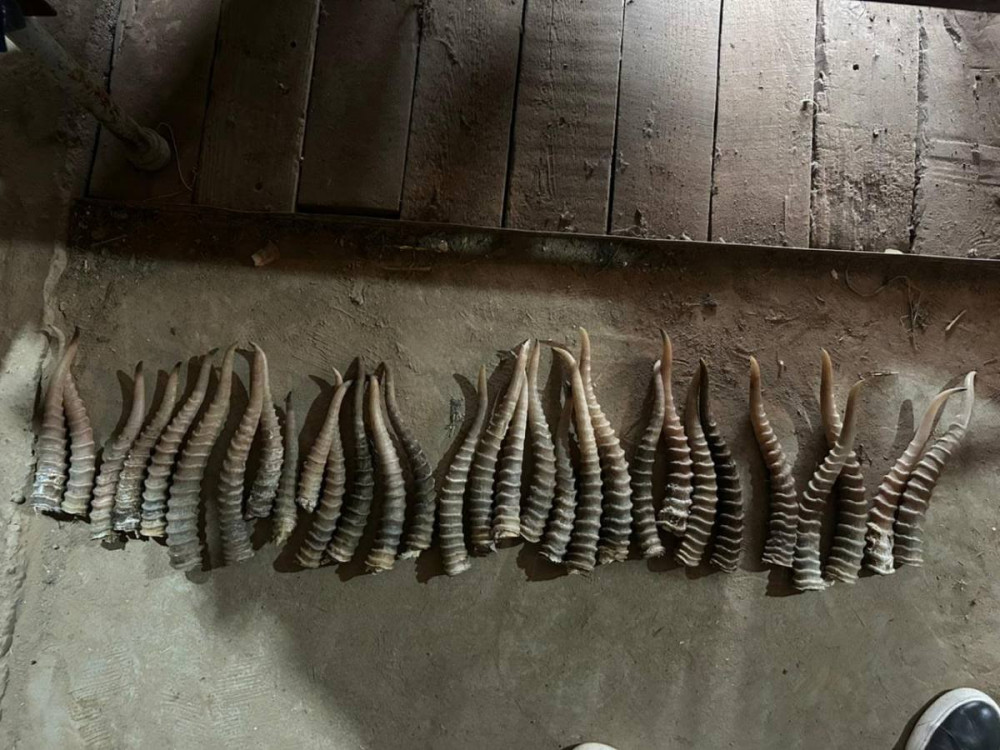 Виктория Блэйз анал порно