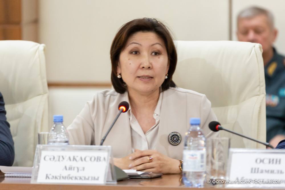 Аида Балаева: Мемлекет басшысы Ассамблеяға үлкен үміт артып отыр