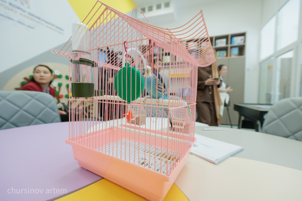 Қайтарылған активтер: Астанада мектептер мен оңалту орталықтары ашылды