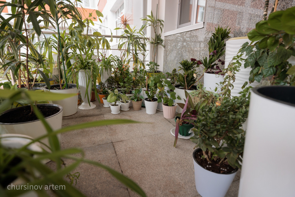 Қайтарылған активтер: Астанада мектептер мен оңалту орталықтары ашылды