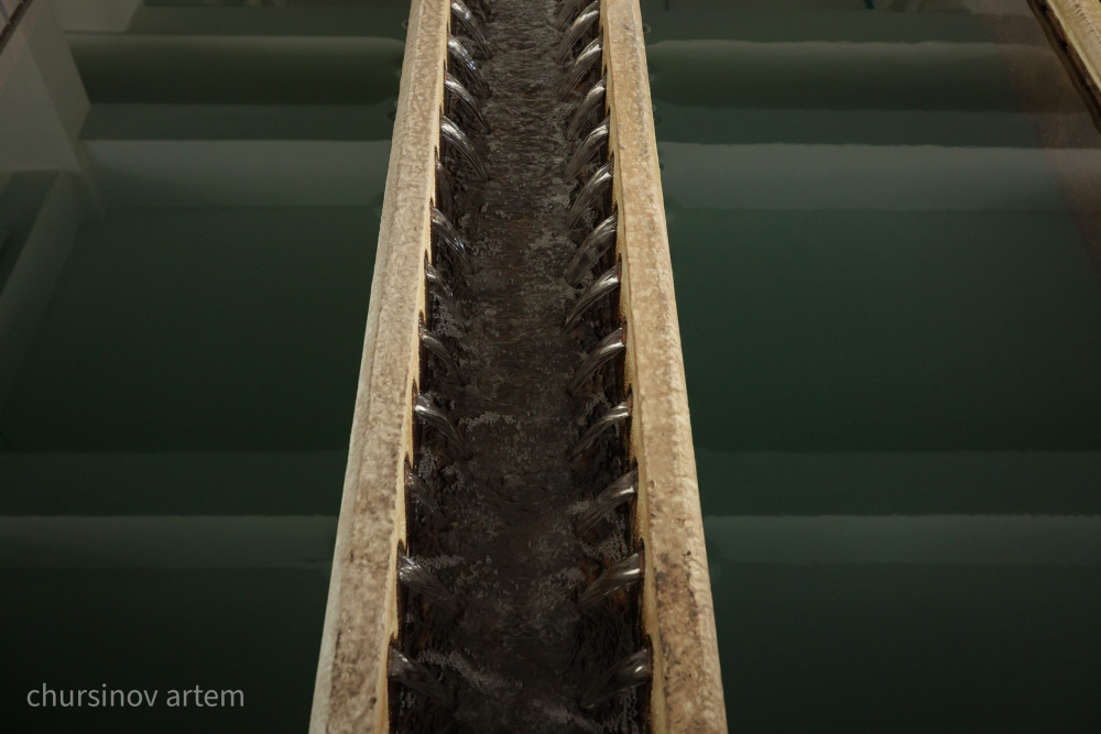 "Таза, қауіпсіз әрі үздіксіз": Астанаға келетін ауыз судың ұзын сапары