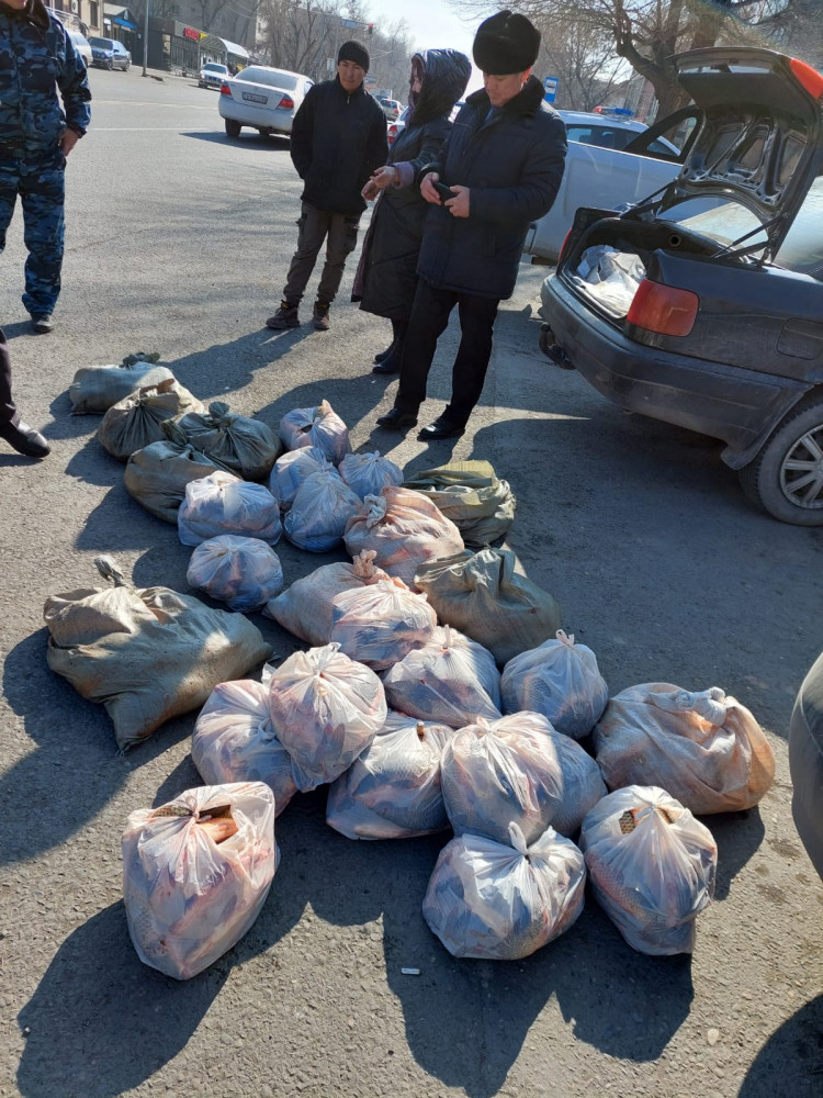 Таразда заңсыз балық сатпақ болғандар анықталды