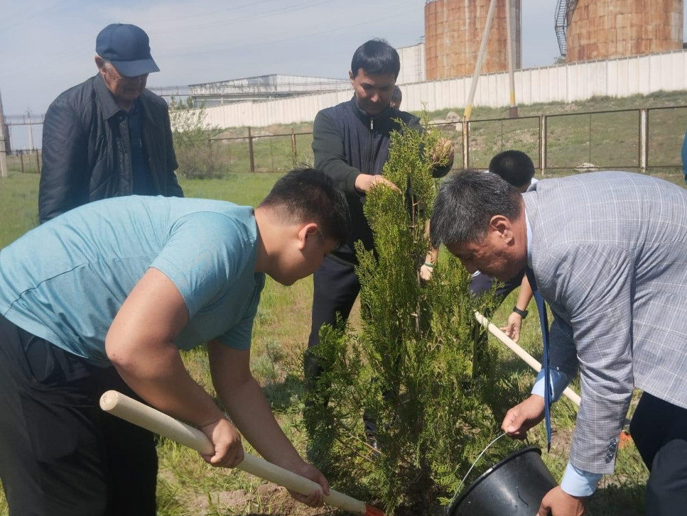 Таза Қазақстан. Экологиялық акцияға  27 мың жамбылдық қатысты