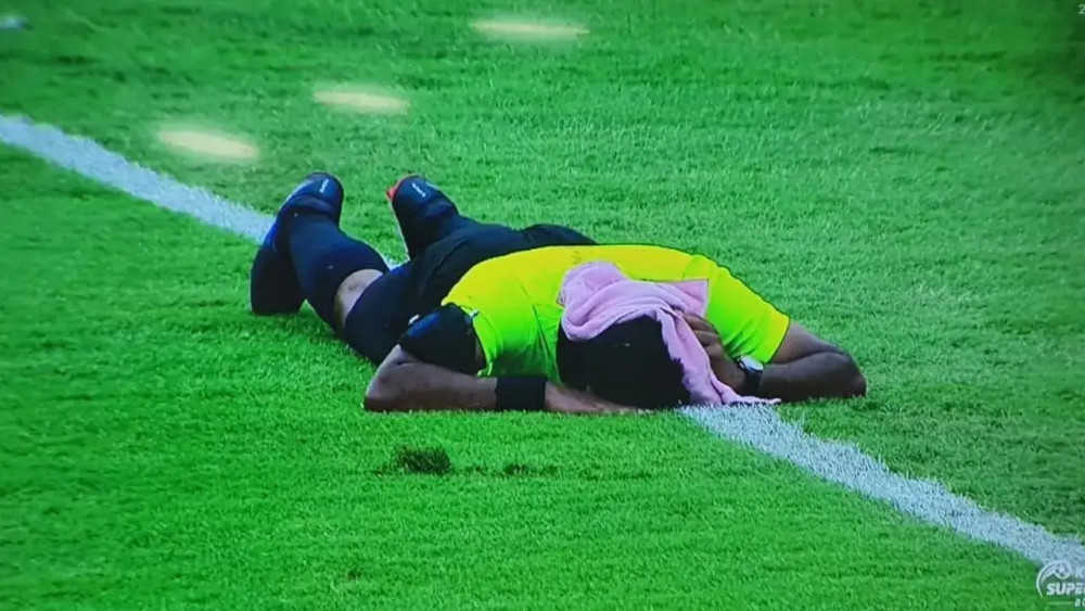 Футбол матчы кезінде төрешілер мен жанкүйерлерге аралар шабуыл жасады