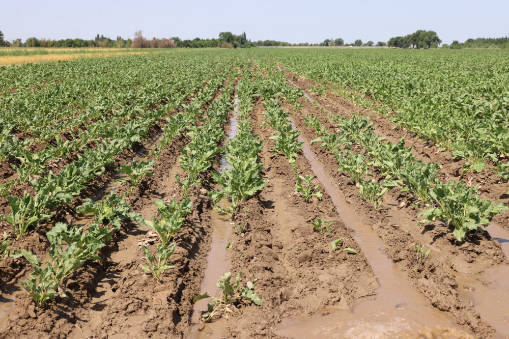 Жетісу шаруалары суды тиімді пайдаланып отыр ма?