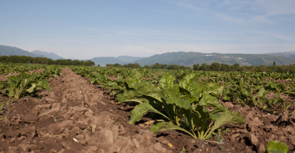 Жетісу шаруалары суды тиімді пайдаланып отыр ма?