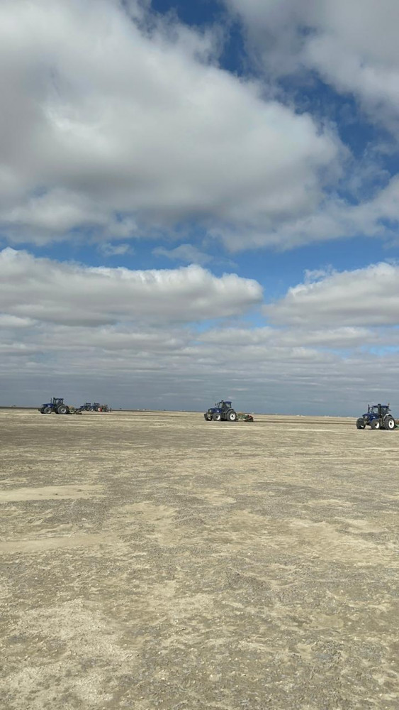 Сексеуіл Аралдың құрғаған табанын экоапаттан құтқара ала ма?