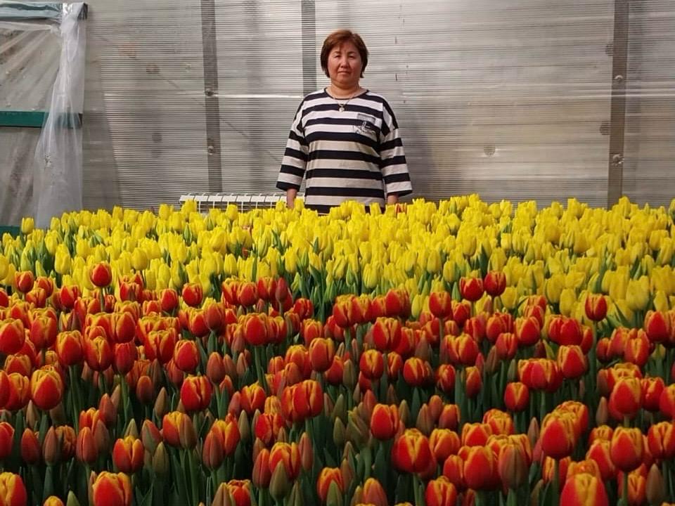 Несие алып, тағдырыңды қалай өзгертуге болады