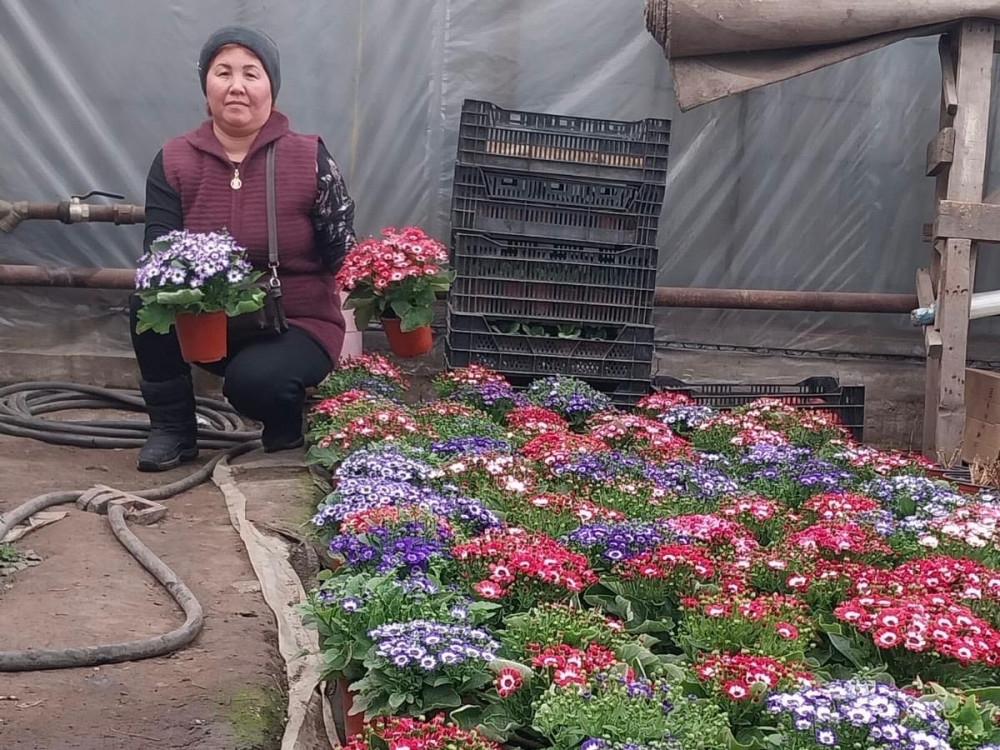 Гүлге деген махаббат бүкіл ауылды жұмыспен қамтып отыр