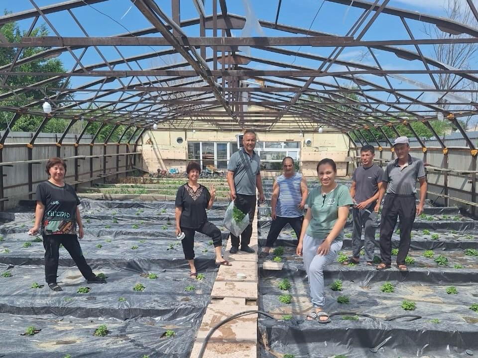 Гүлге деген махаббат бүкіл ауылды жұмыспен қамтып отыр