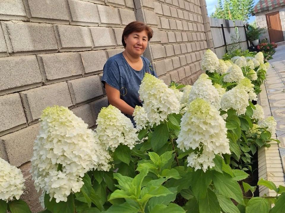 Гүлге деген махаббат бүкіл ауылды жұмыспен қамтып отыр