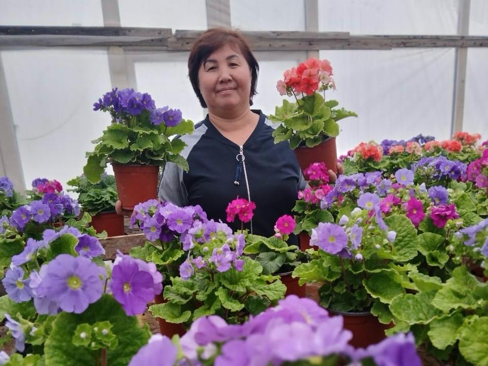 Гүлге деген махаббат бүкіл ауылды жұмыспен қамтып отыр