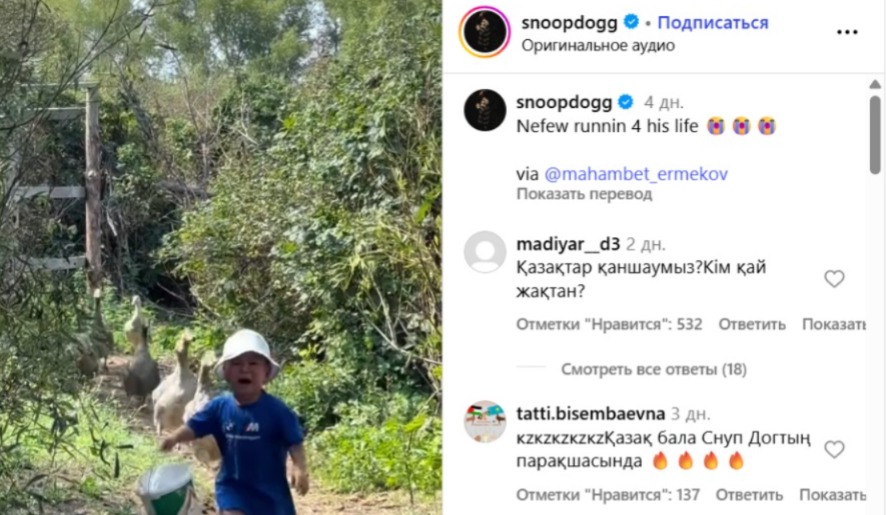 Қаздан қашқан бала: Америкалық рэпер 3 жасар қазақ баласының видеосын жариялады