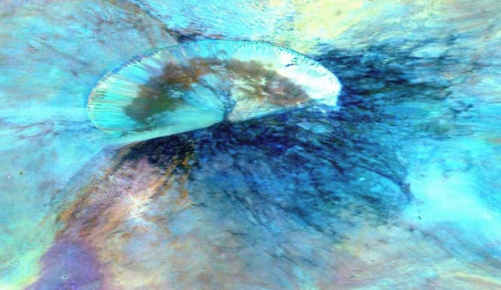 Ғалымдар ғарыштан Жер мен Айдың тылсым суреттерін көрсетті