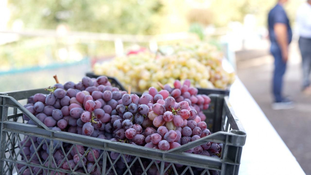 Түркістан облысында суару маусымы аяқталды