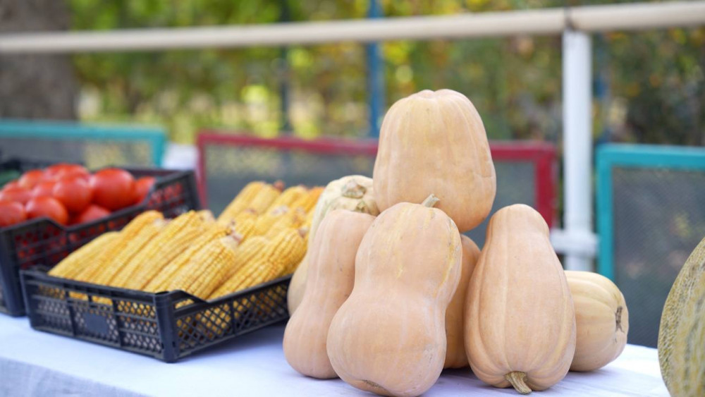 Түркістан облысында суару маусымы аяқталды