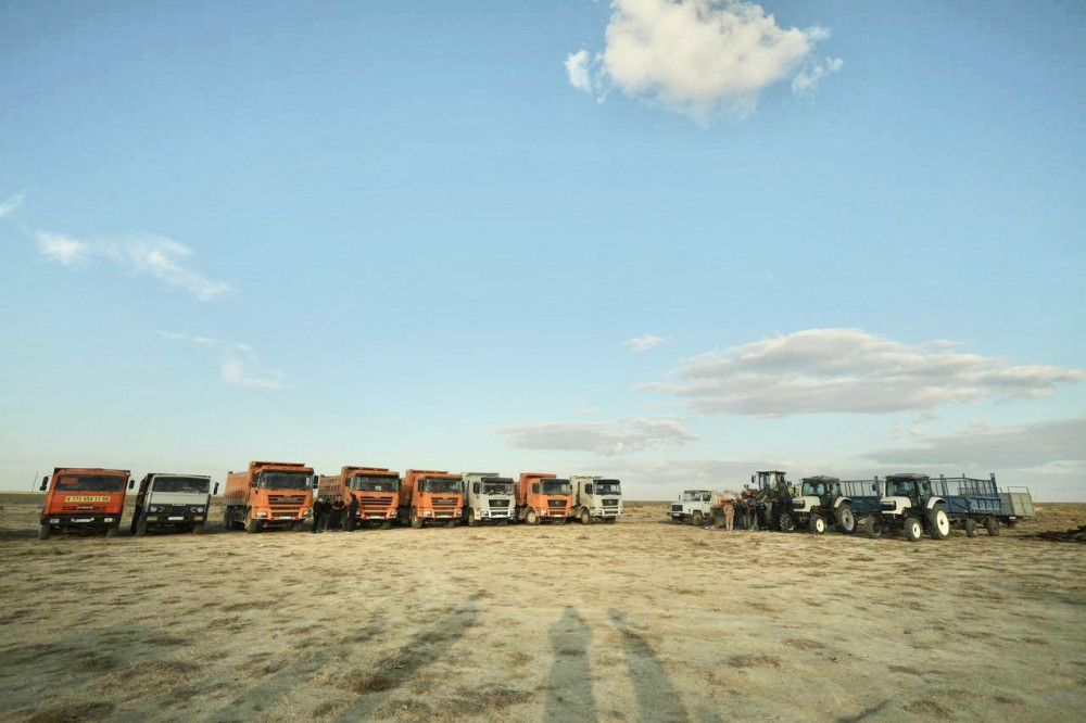 "Қошқар-Ата" аумағына 1 млн түп сексеуіл көшеті отырғызылады