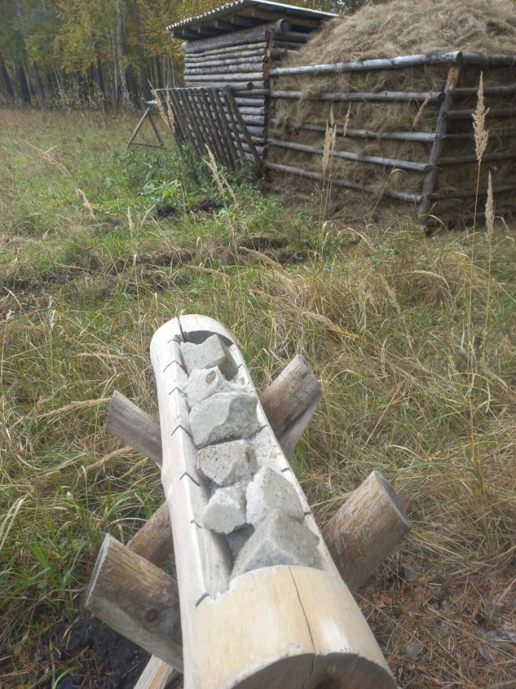 Орманшы: "Орман – бұл жай ғана жұмыс емес, бұл өмір"