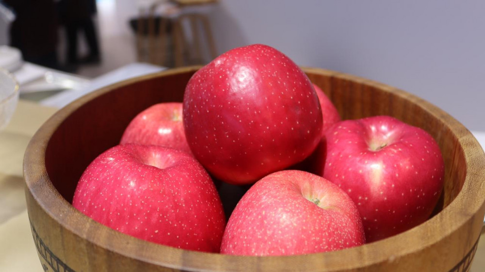 Қазақ өнімі әлемдік аренада: Шанхай көрмесінде не көрсетілді?