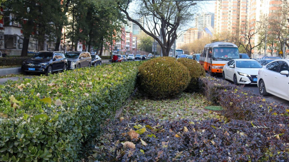 Қарашадағы Бейжің: күзгі қала өмірі қандай?