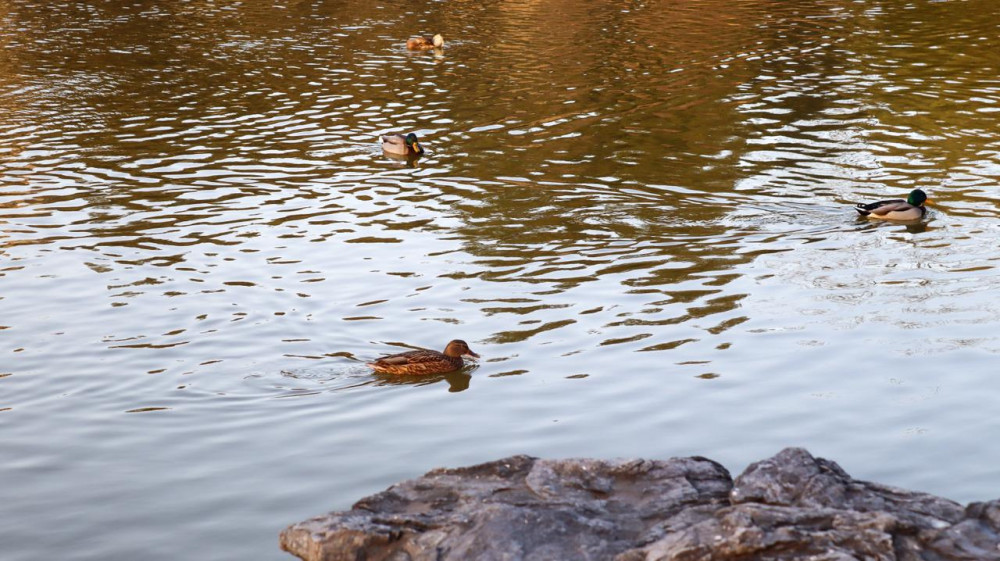 Қарашадағы Бейжің: күзгі қала өмірі қандай?