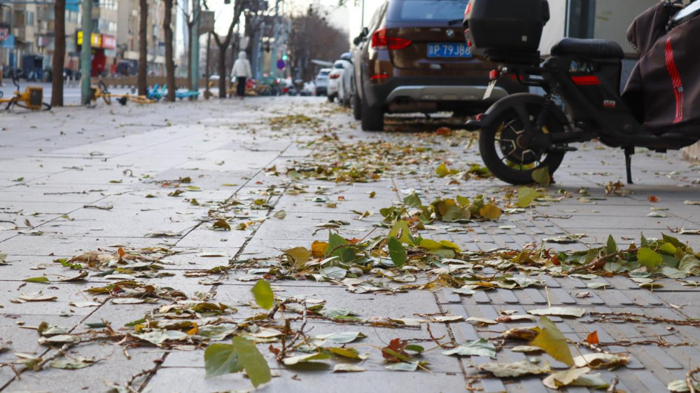 Қарашадағы Бейжің: күзгі қала өмірі қандай?