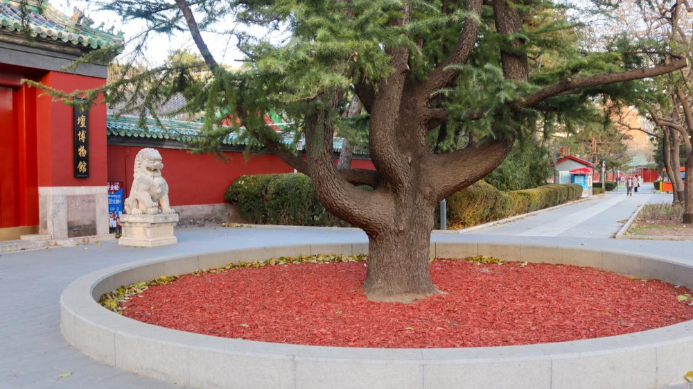 Қарашадағы Бейжің: күзгі қала өмірі қандай?