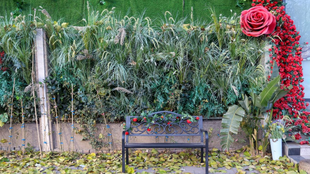 Қарашадағы Бейжің: күзгі қала өмірі қандай?