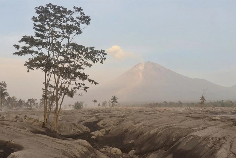 Әлемде: Дамаскта 7 содыр ұсталды, Сан-Франциско тоқсыз қалды, Тайваньда жер сілкінді