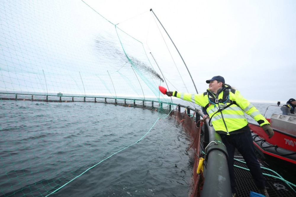 Маңғыстауда Орталық Азиядағы алғашқы теңіз аквашаруашылық жобасы іске асуда