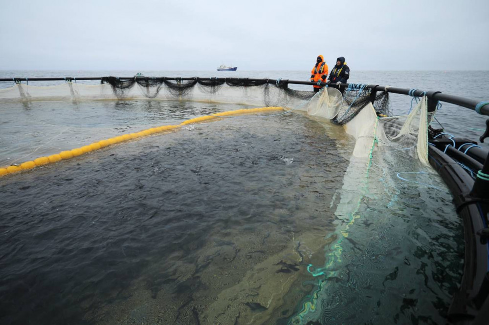 Маңғыстауда Орталық Азиядағы алғашқы теңіз аквашаруашылық жобасы іске асуда