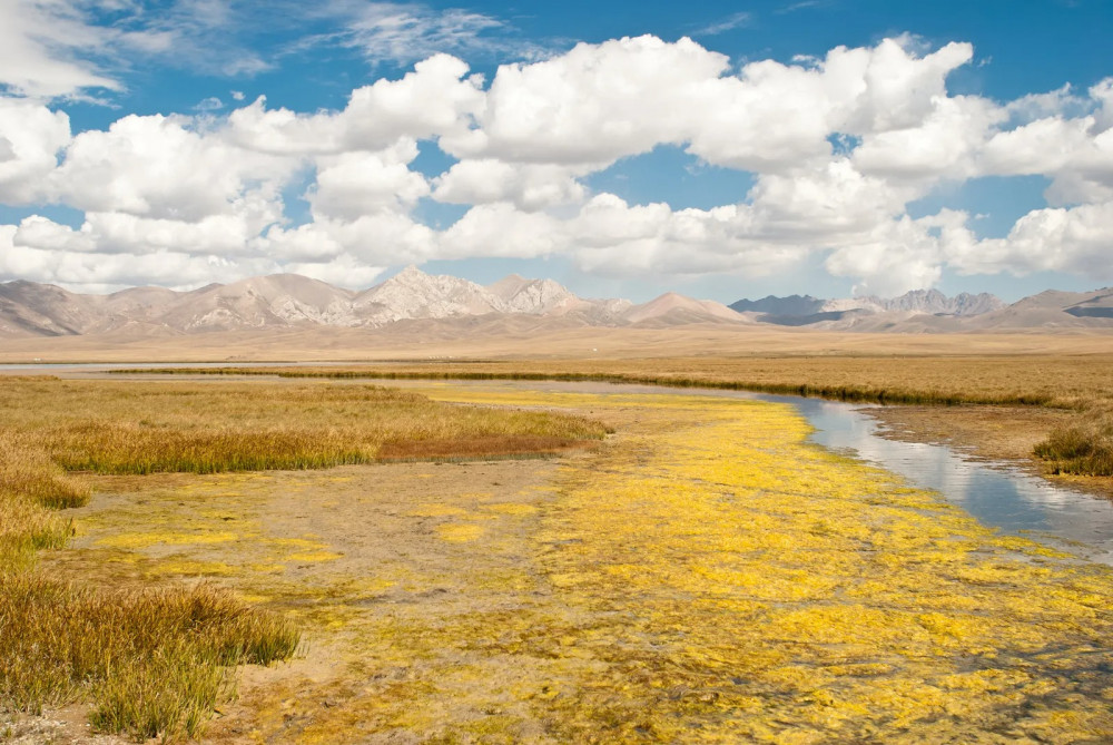 Vogue таңдауы: Қазақстан 2025 жылдың ең үздік туристік бағыттары қатарында