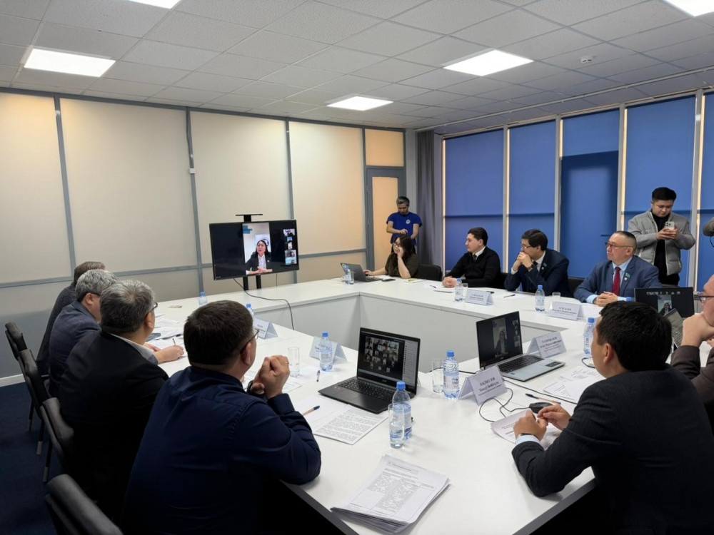 ЖСДП Конституцияның жаңа жобасы бойынша ұстанымын жариялады