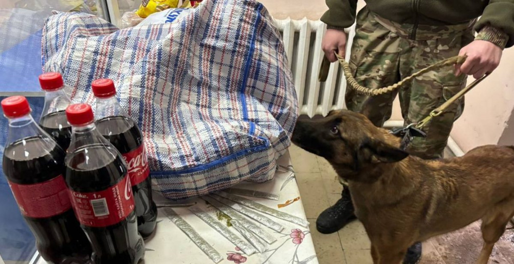 Сөмкенің бауына жасырған: Түрмеге есірткі өткізбек болған азамат ұсталды