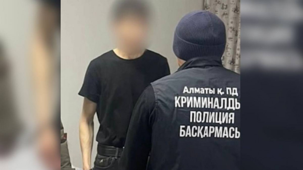 Көшеде теледидар көтеріп жүрген: Алматыда пәтер ұрылары ұсталды