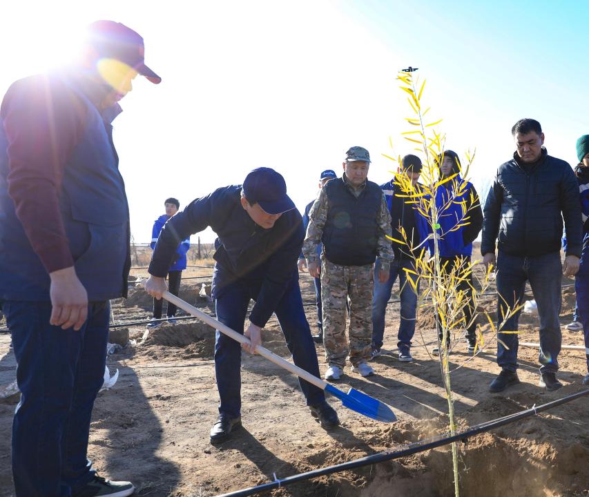 "Таза Қазақстан": Ақтөбеде алғаш рет тораңғы ағашы отырғызылды