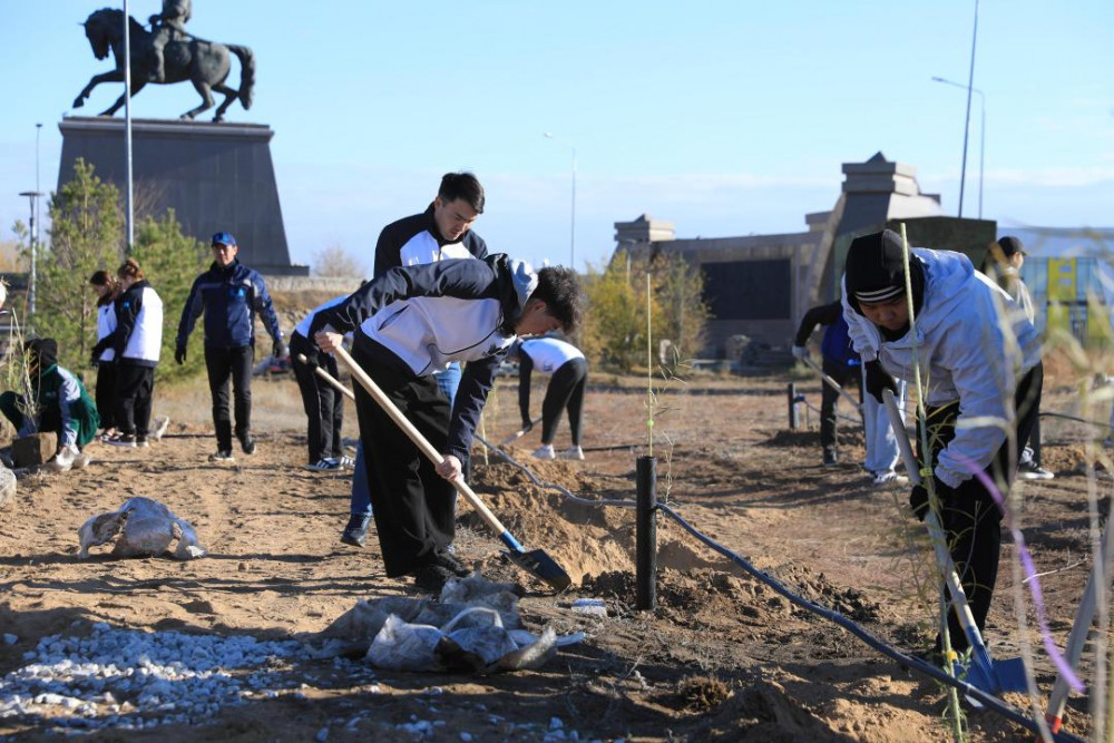 "Таза Қазақстан": Ақтөбеде алғаш рет тораңғы ағашы отырғызылды