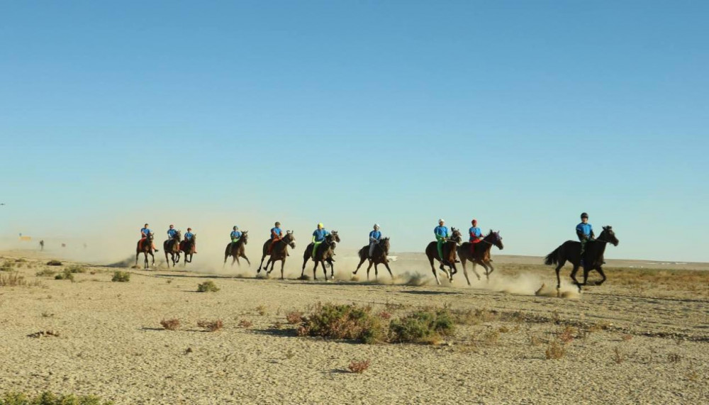 Вероника Кастро бейнеленген порно фейктер