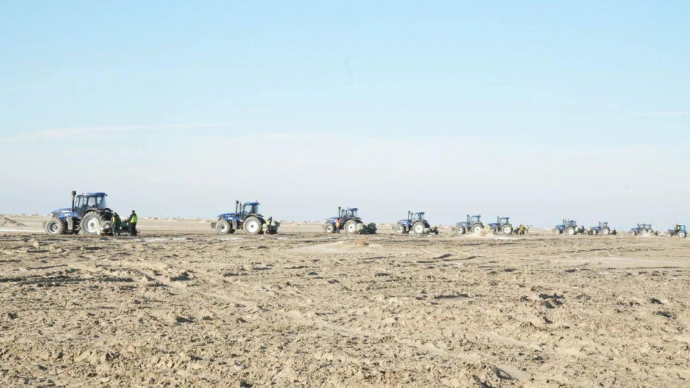 Аралды қалпына келтіру: Сексеуіл егу жобасы қалай жүзеге асып жатыр?