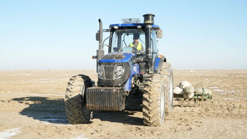Аралды қалпына келтіру: Сексеуіл егу жобасы қалай жүзеге асып жатыр?