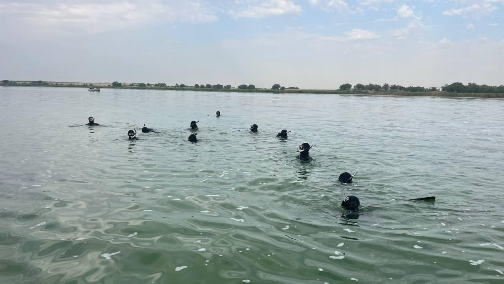 Тоқтаусыз Тоқтаусыз