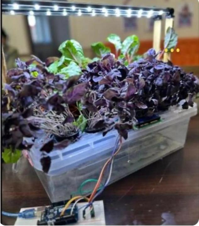 "Таза Қазақстан": елордалық оқушылар мектеп қабырғасында ерекше жобаны қолға алды