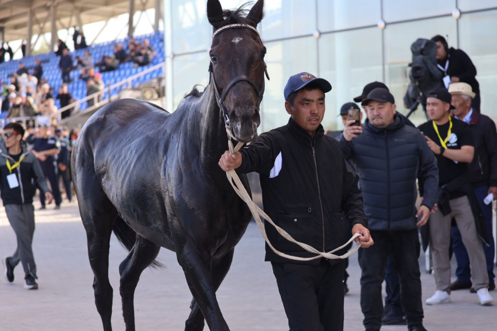 Жеңіс тойындағы тарту