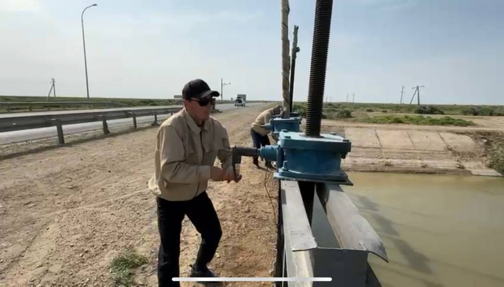 Профессионалдар: Су мамандары әулеті