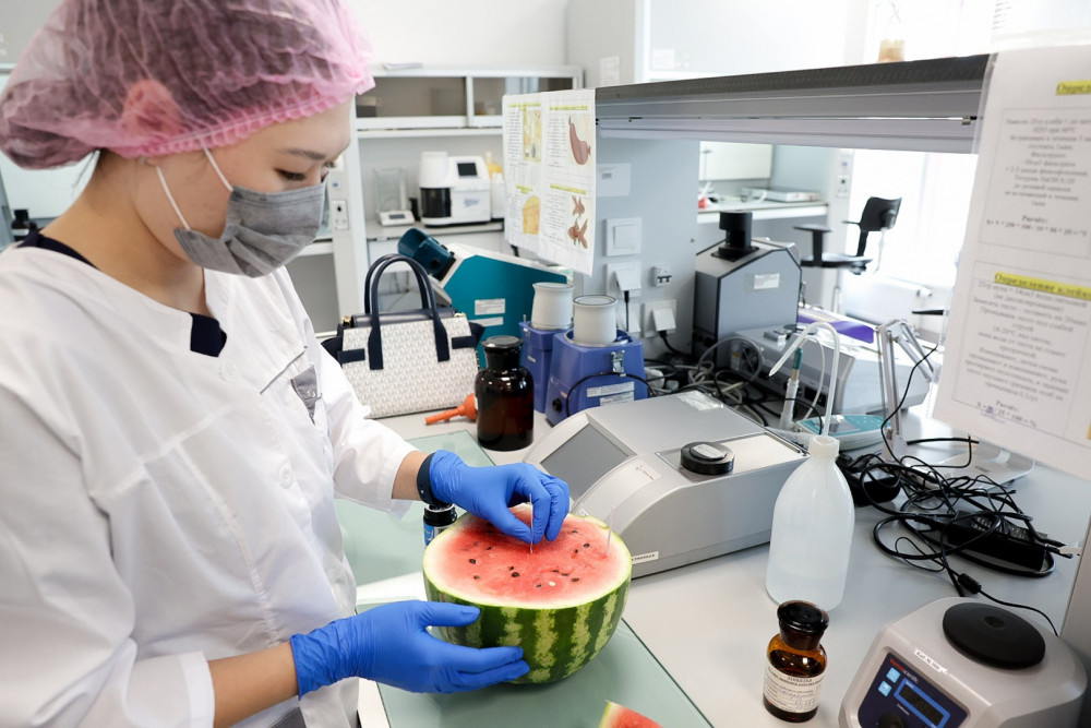 Қарбызда "химия" бар ма? BAQ.KZ зерттеп көрді