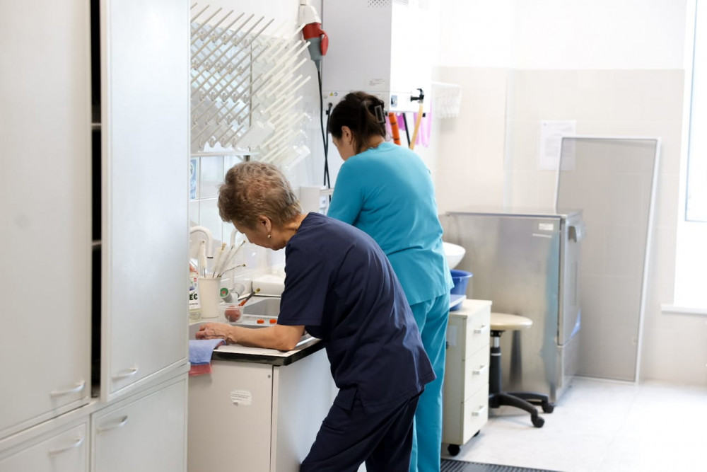 Диоксиндер мен ПХБ: Елорда ғалымдары қауіпті уды қалай анықтайды?