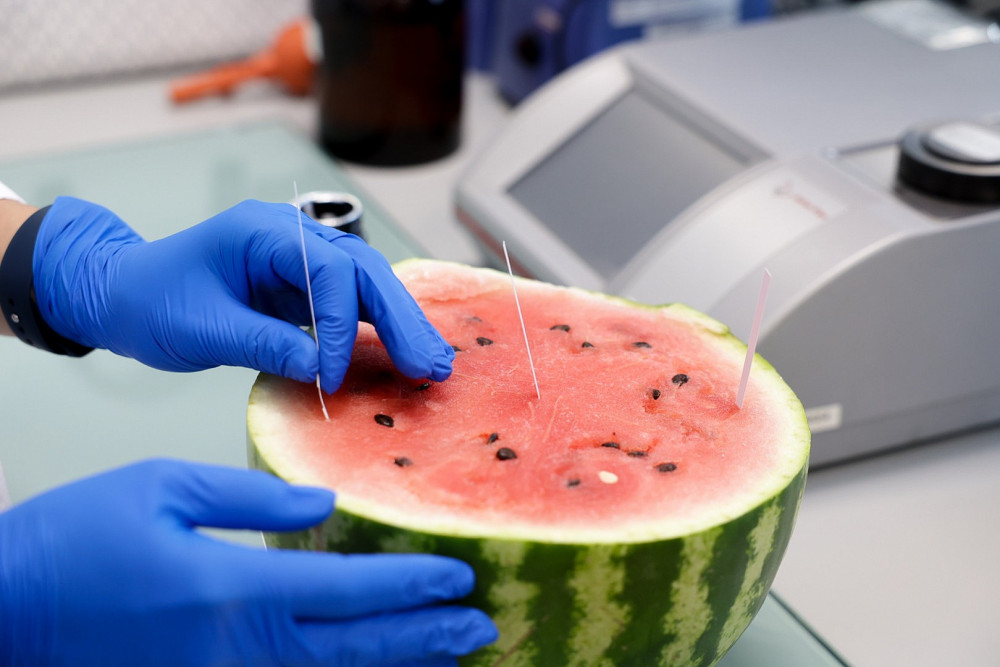 Қарбызда "химия" бар ма? BAQ.KZ зерттеп көрді