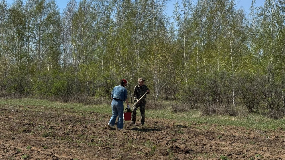 Бүгін Бүкілқазақстандық орман отырғызу күні