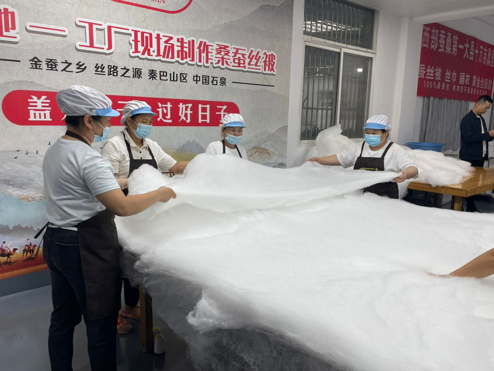 Жібек шаруашылығы алғаш шыққан аймақты білесіз бе?